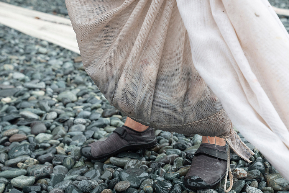 地引網漁の様子