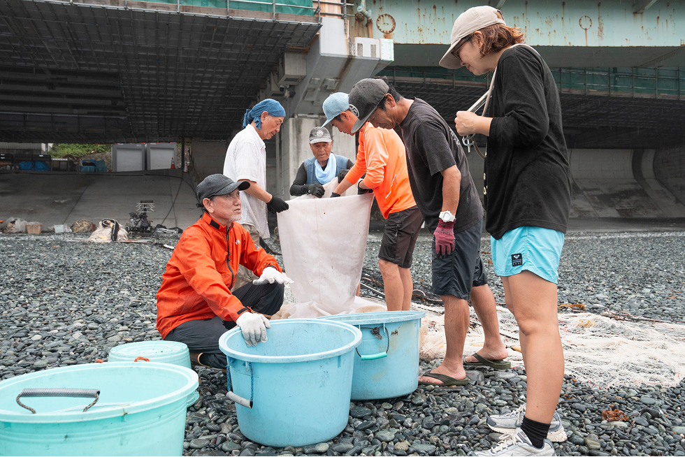 地引網漁の様子