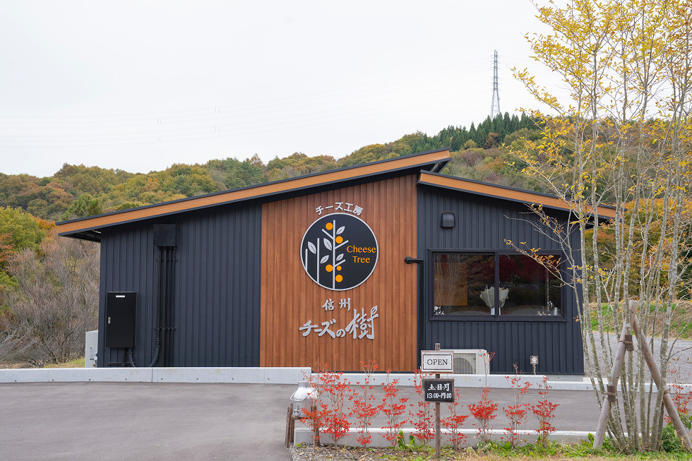 信州 チーズの樹「チーズ作り体験」