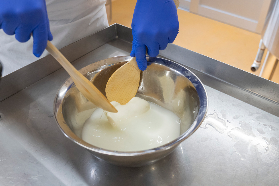 写真で解説！モッツァレラチーズができるまで