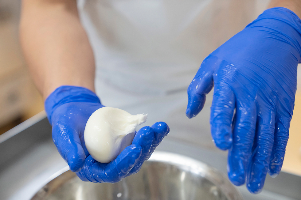 写真で解説！モッツァレラチーズができるまで