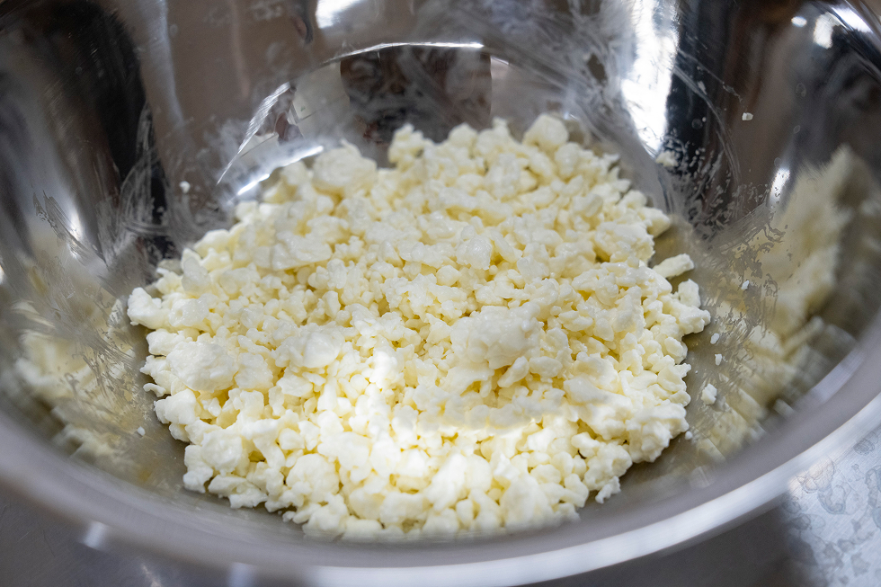 モッツァレラチーズ作り体験スタート