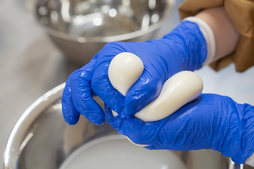 モッツァレラチーズ作り体験スタート