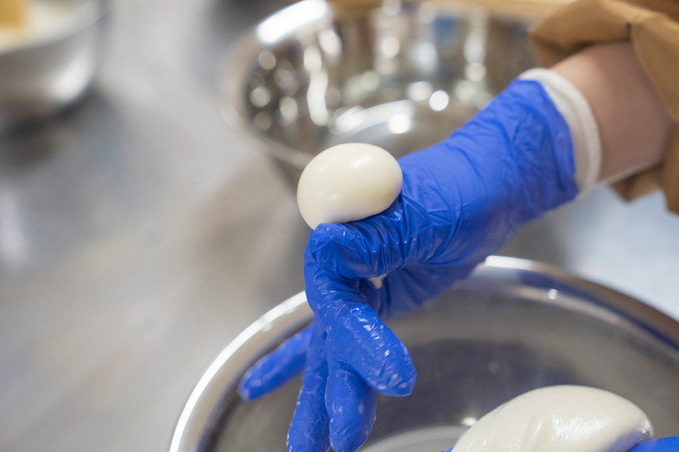 モッツァレラチーズ作り体験スタート