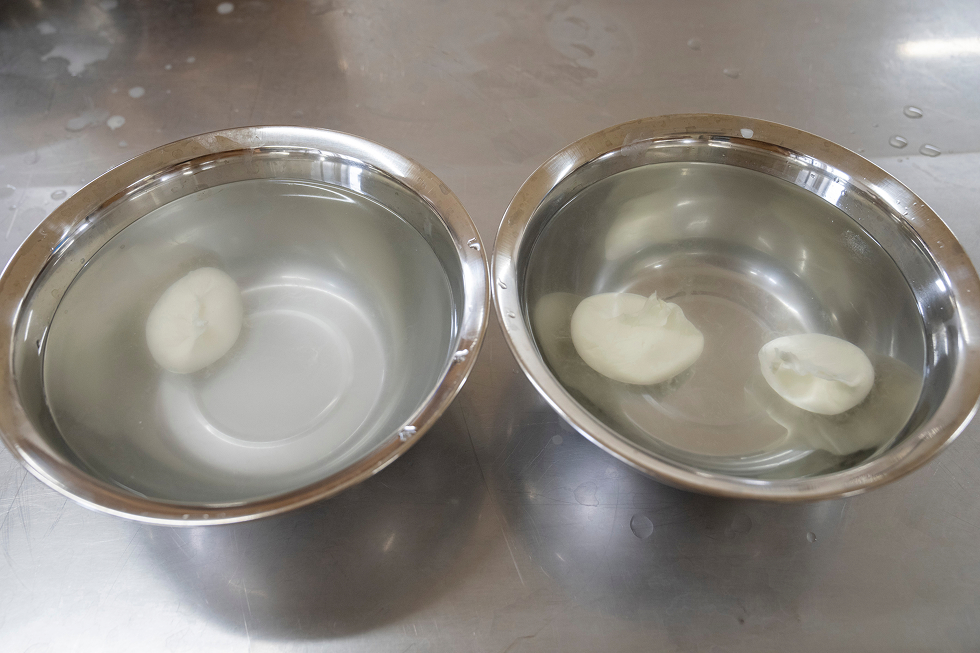 モッツァレラチーズ作り体験スタート