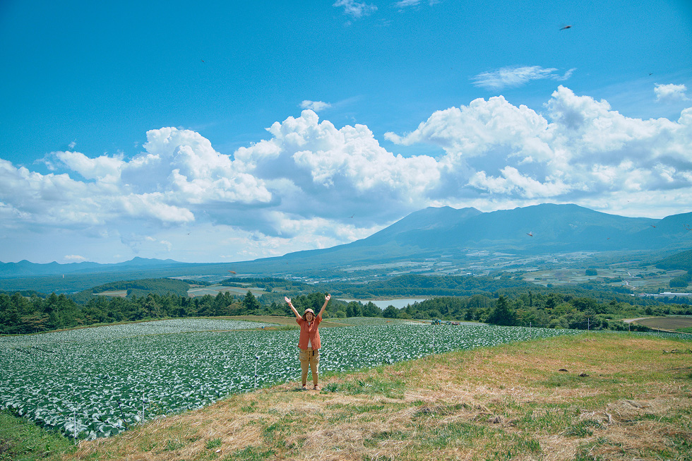 視界いっぱいのキャベツ畑