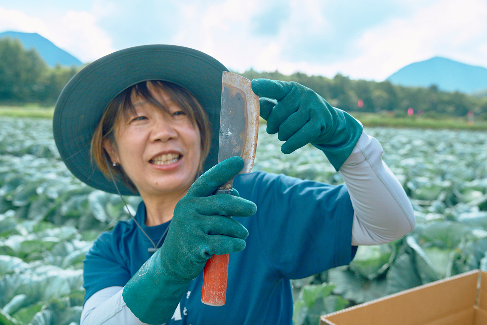 キャベツ用の包丁