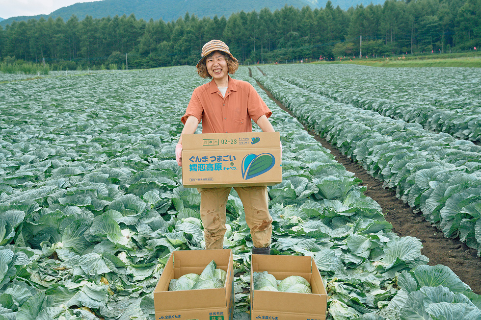 キャベツを箱詰めする