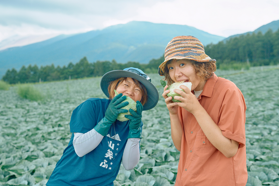 キャベツを試食する