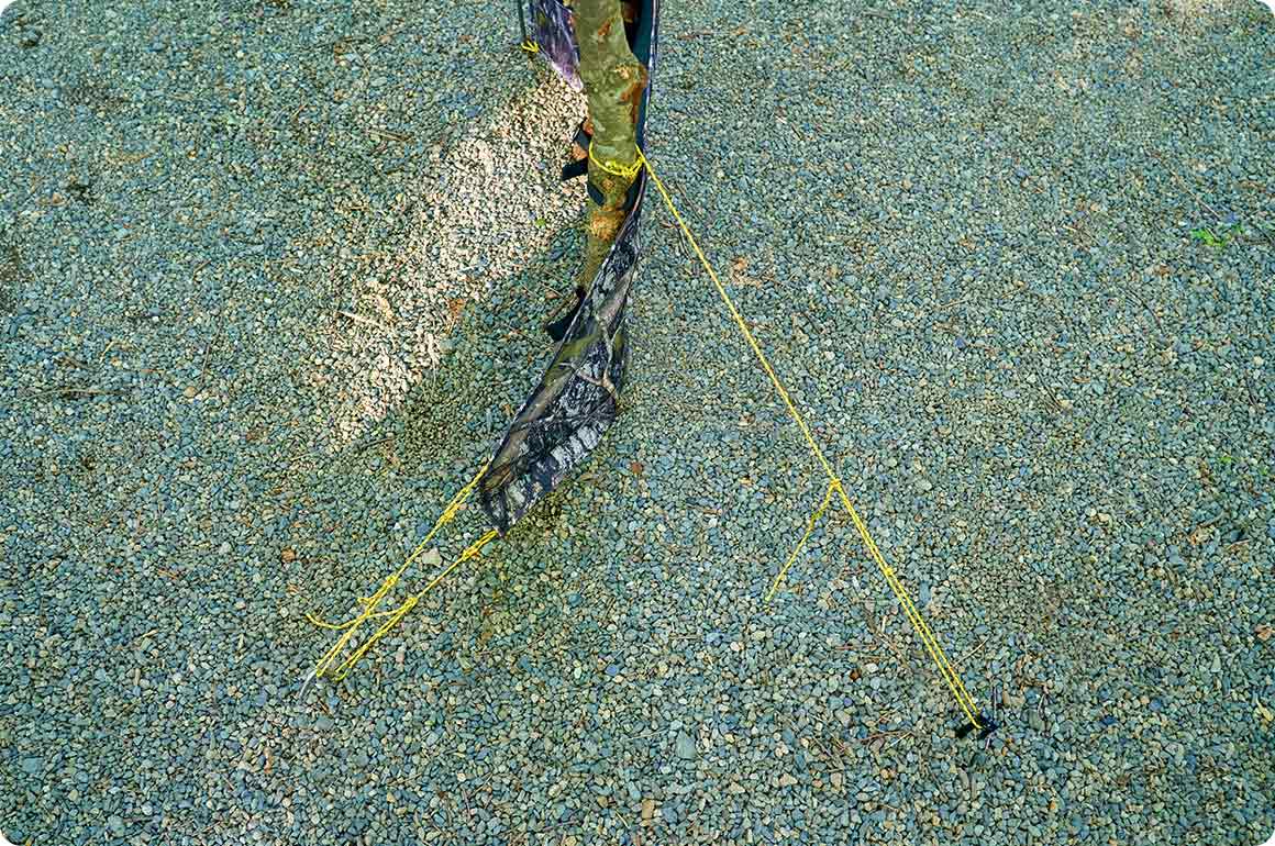 はみ出している部分を軽く手で押し込む