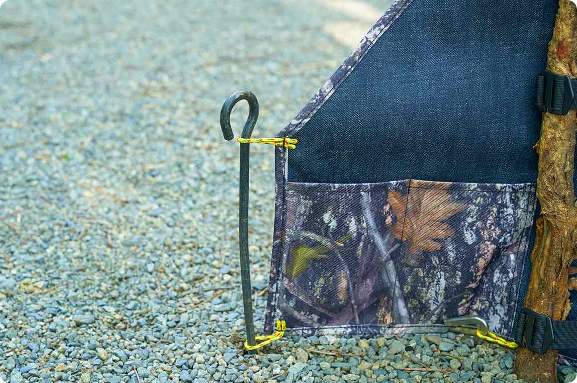 運転席窓と後席窓の様子