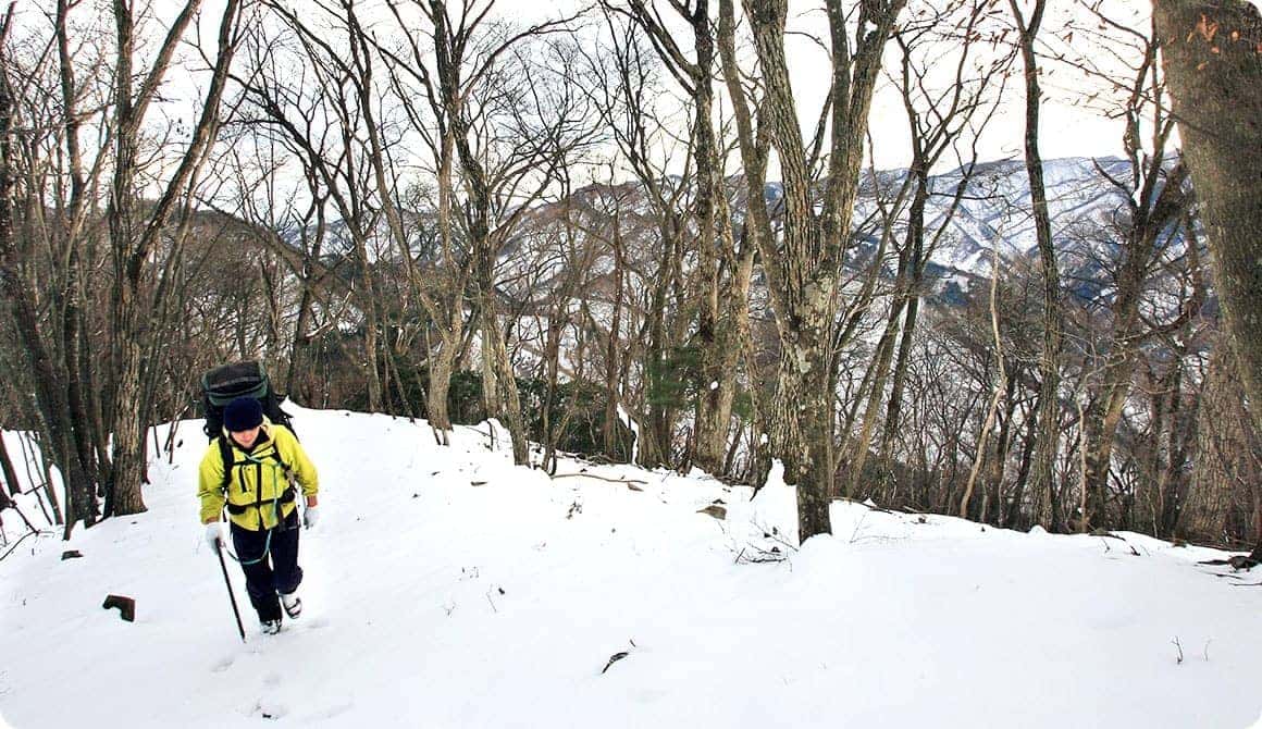 動きのあるアクティビティ