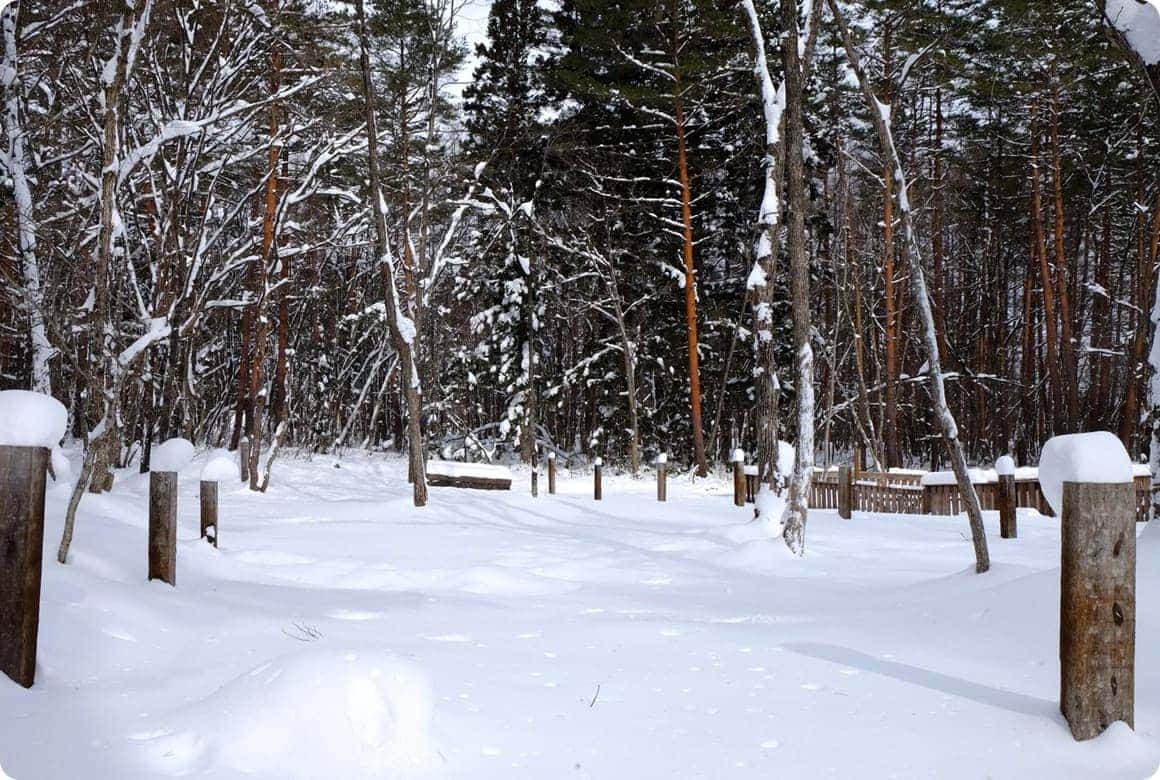 雪が降り積もったキャンプサイト