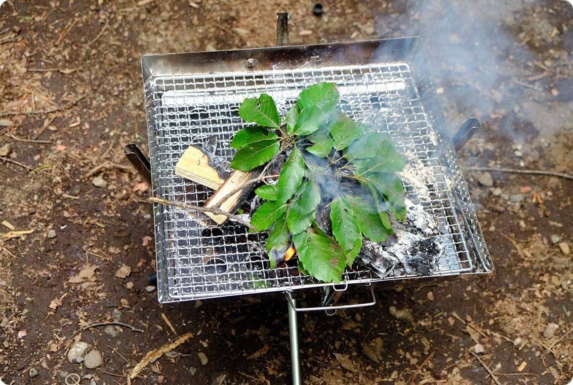 薪に着火した後、木の枝を拾ってきて焚き火の上に載せましょう
