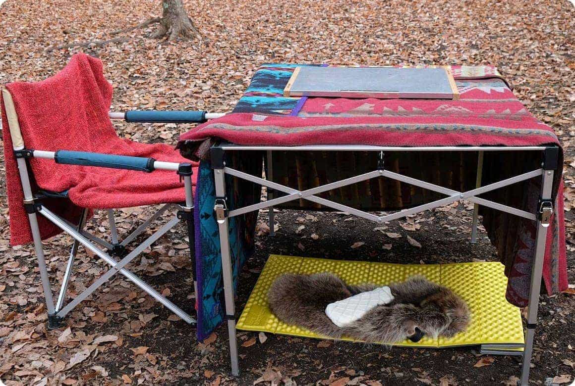 マットの上に毛足の長いファー（フェイクファーで十分です）を敷き、さらに熱源として湯たんぽを用意