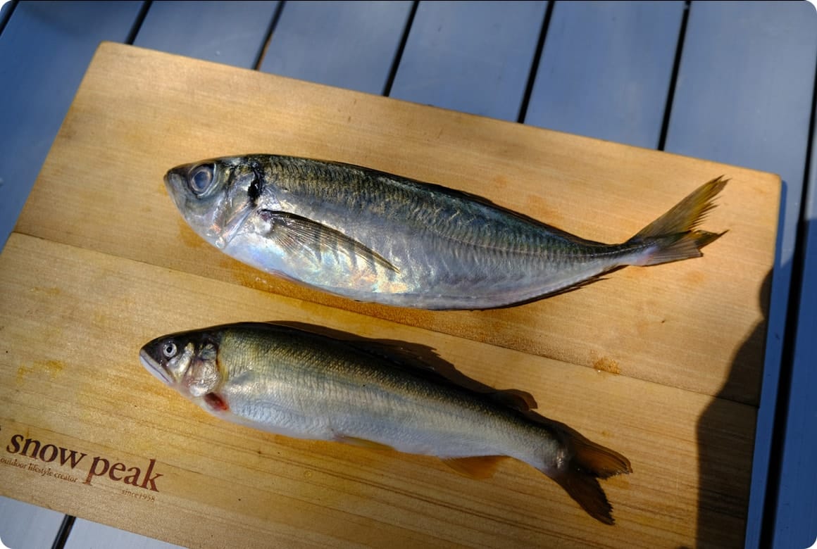 魚によって適切に 下処理を