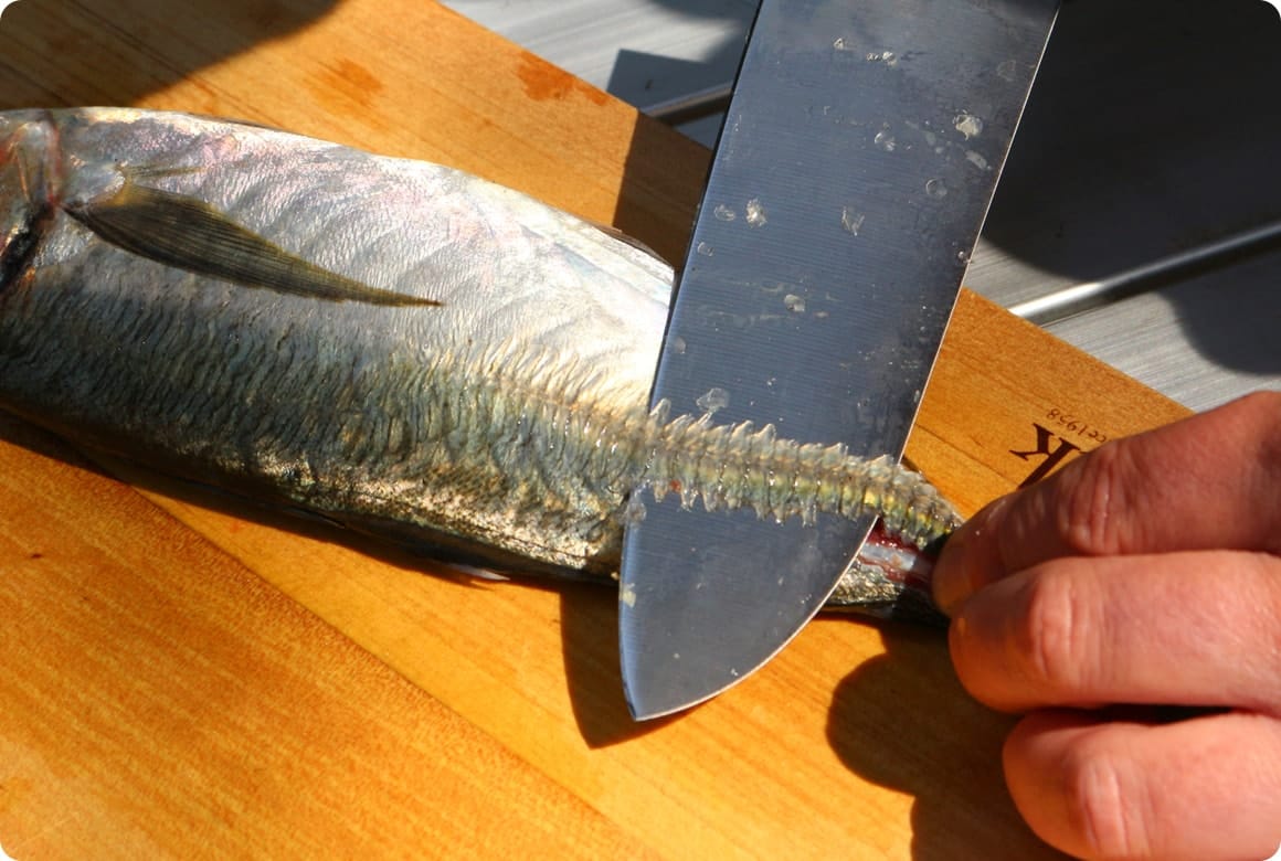 魚の下処理のやり方（例：アジの三枚おろし）