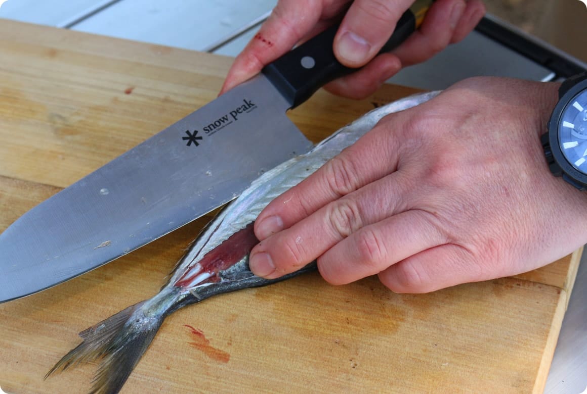 背と腹にぐるりと包丁を浅く入れます。