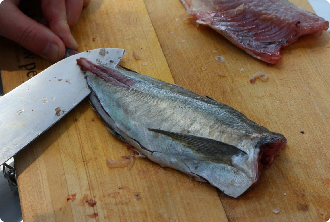 反対側も同様に背骨から身を離します。