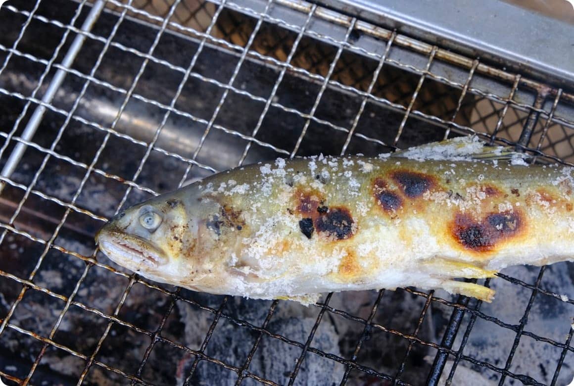 魚は強火の遠火でじっくり焼くのが基本ですが、バーベキューグリルによっては木炭と網の距離が近く、強火の遠火が困難な場合も。
