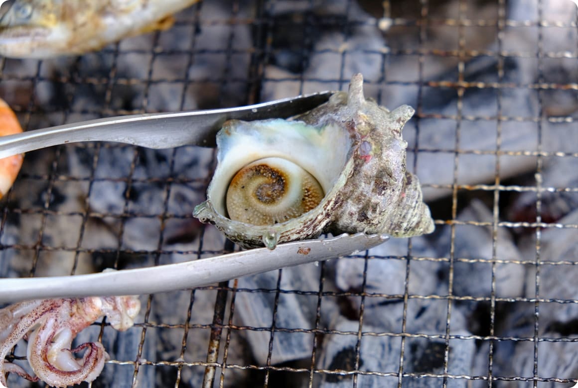 【おまけ】サザエをきれいに取る方法