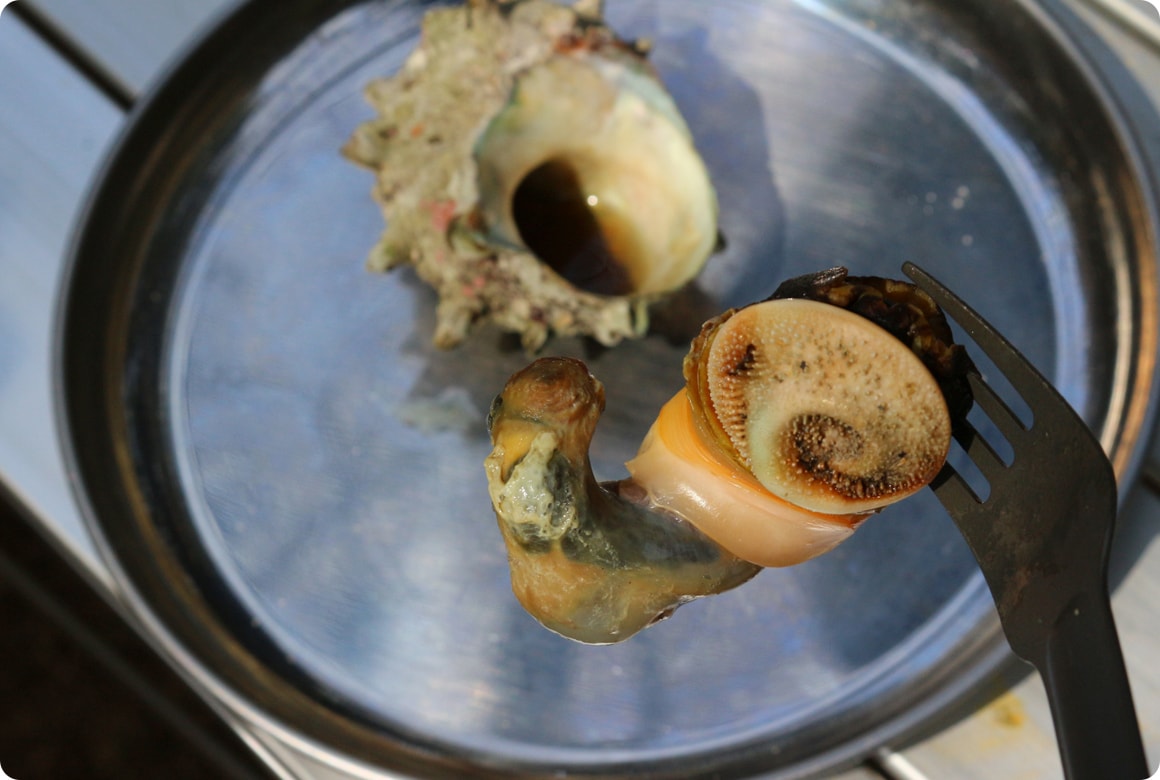 たったこれだけで、サザエがお尻まできれいに取れるようになります。