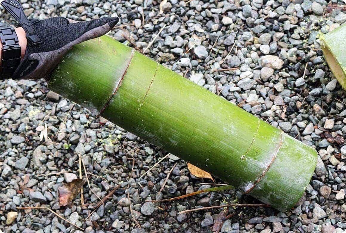 対側の節の内側にも同じ長さの切れ込みを入れる