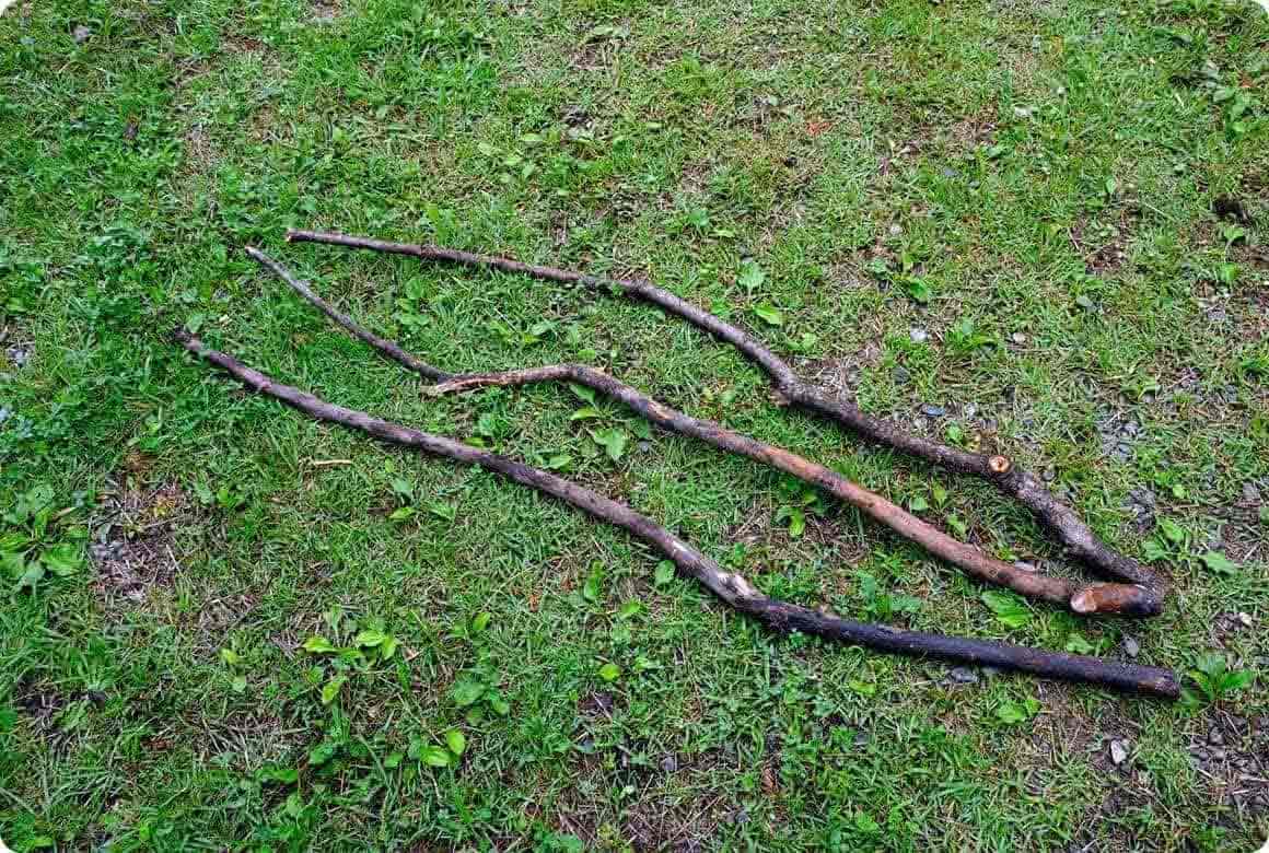 3本の長さが揃うようにノコギリでカット