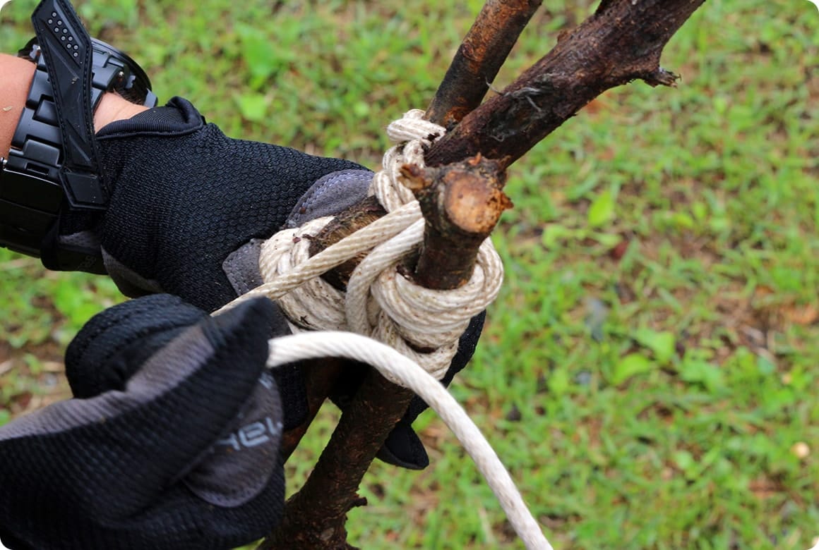 続いて、縦方向にロープで割っていきます。