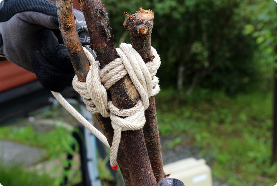 木と木の間に2〜3回しっかりと引っ張ってロープを入れましょう。