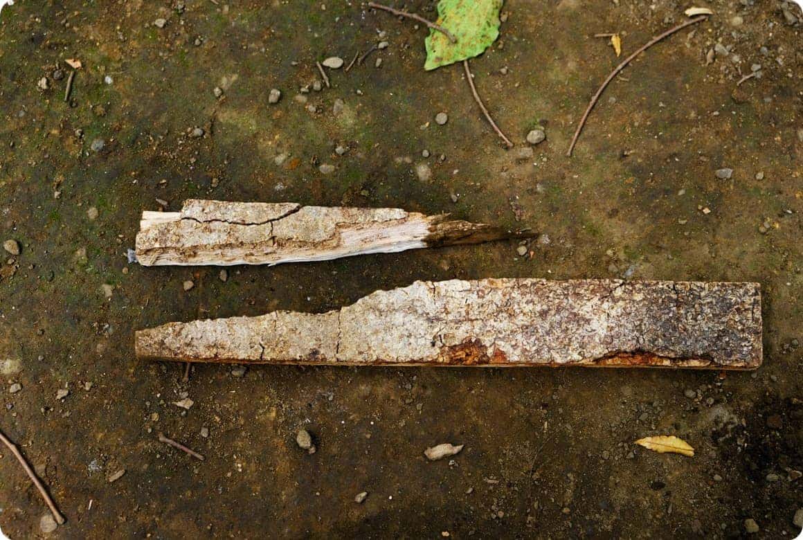 薪で即席ペグを作る方法