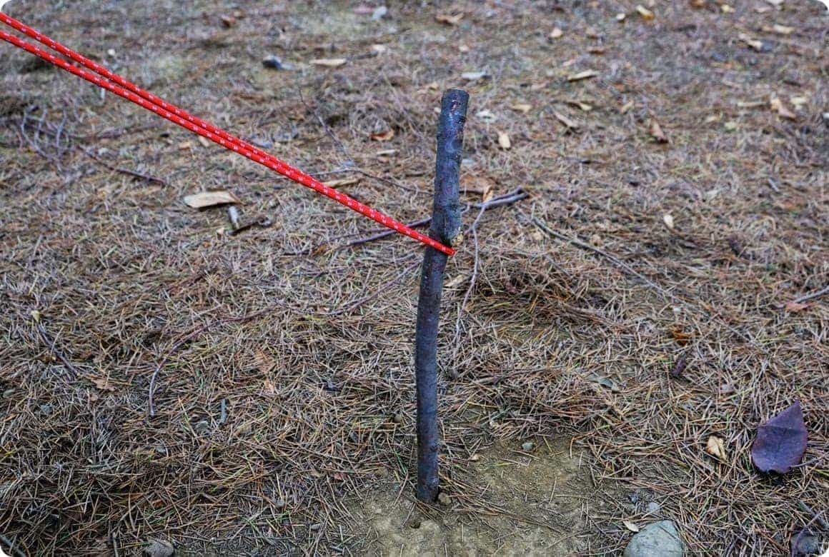 補助的な張り綱であれば十分これで使えます