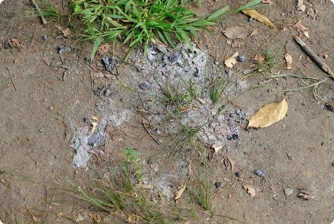 灰や小さな薪のかけらが落ちている跡を見かけることもあります。