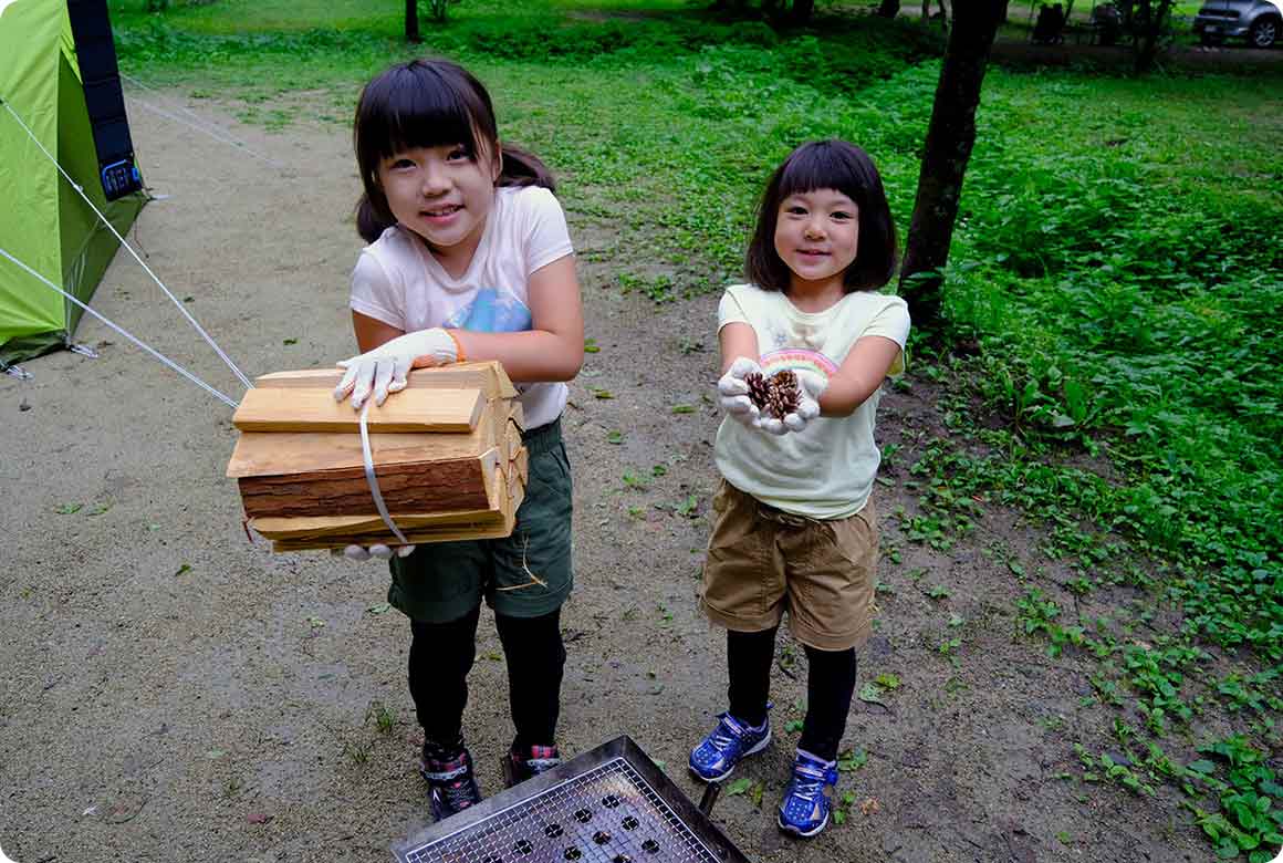 拾ってきた松ぼっくりと小枝