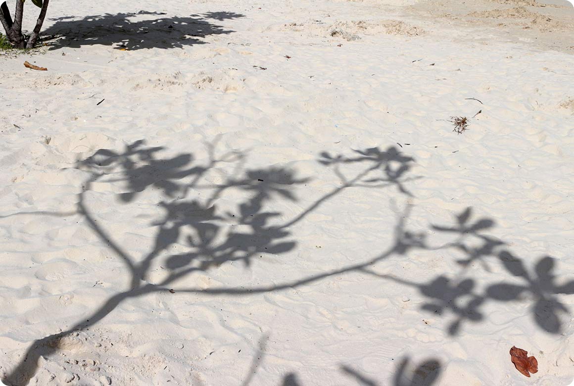 地面が砂地の場合は、 砂を掘って硬い層に固定！