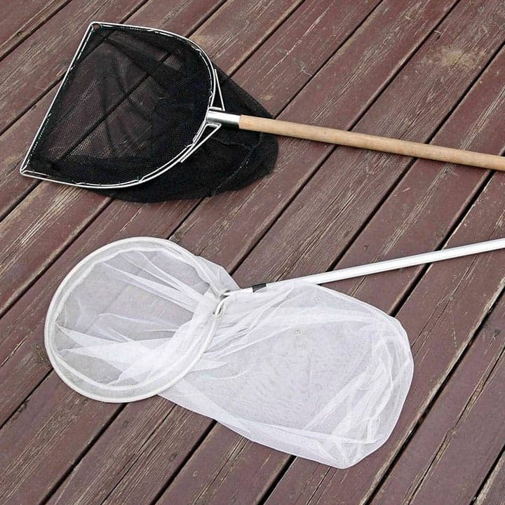 【昆虫採集入門】昆虫採集に必要な用具