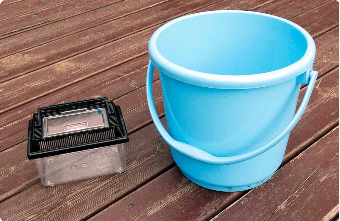 虫カゴやケース