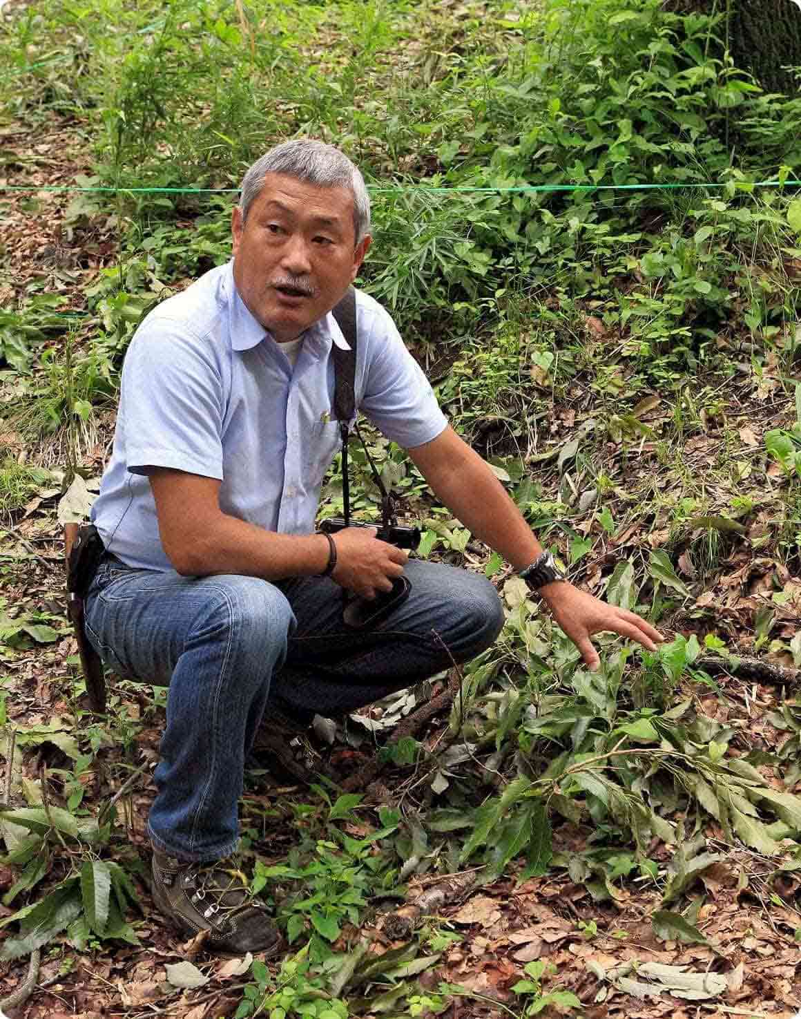 落ち葉や枯れ枝が地面に積って、昆虫の隠れ家や幼虫のエサになります