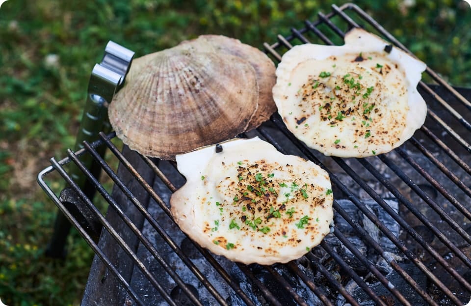 そのままホタテの炭火グラタン