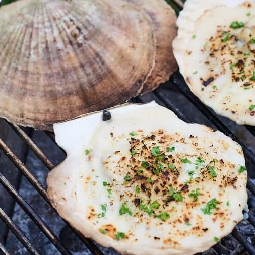 そのままホタテの炭火グラタン