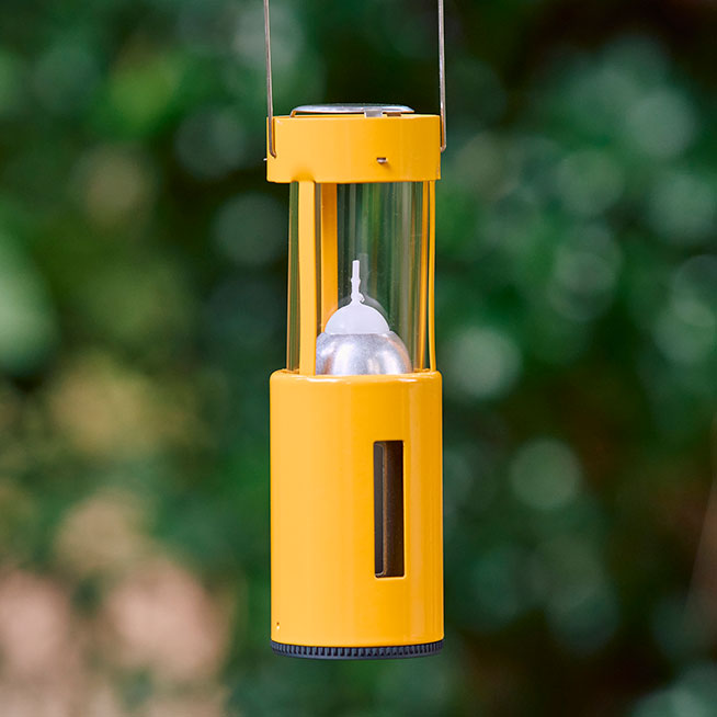 キャンドルランタンの画像