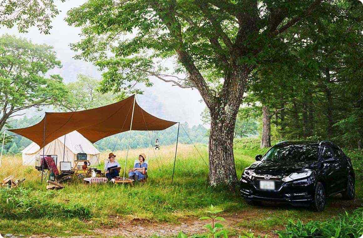 今回は、一般のテントサイトより奥にある、高台の景観が良い場所を案内してもらいました