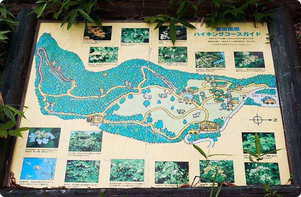 いろんなコースがある中から、視界の開けたコースで展望台へ向かうことに