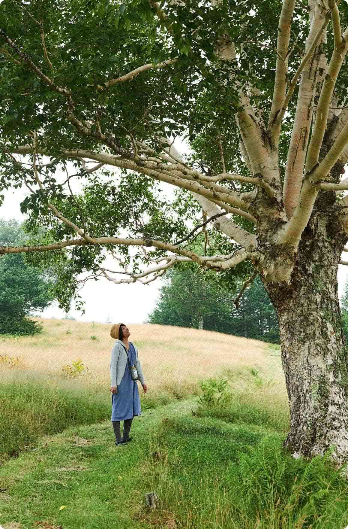 しかもこっちはブランコが付いていました