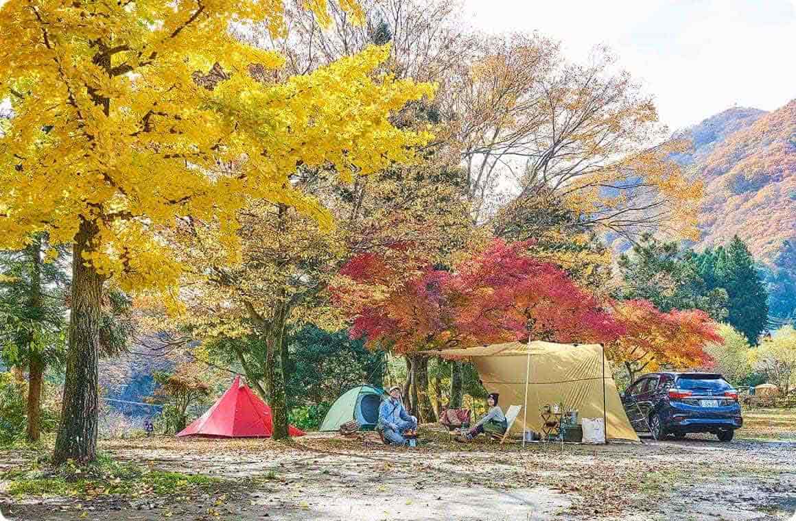 焼き芋のおいしい焼き方を徹底検証