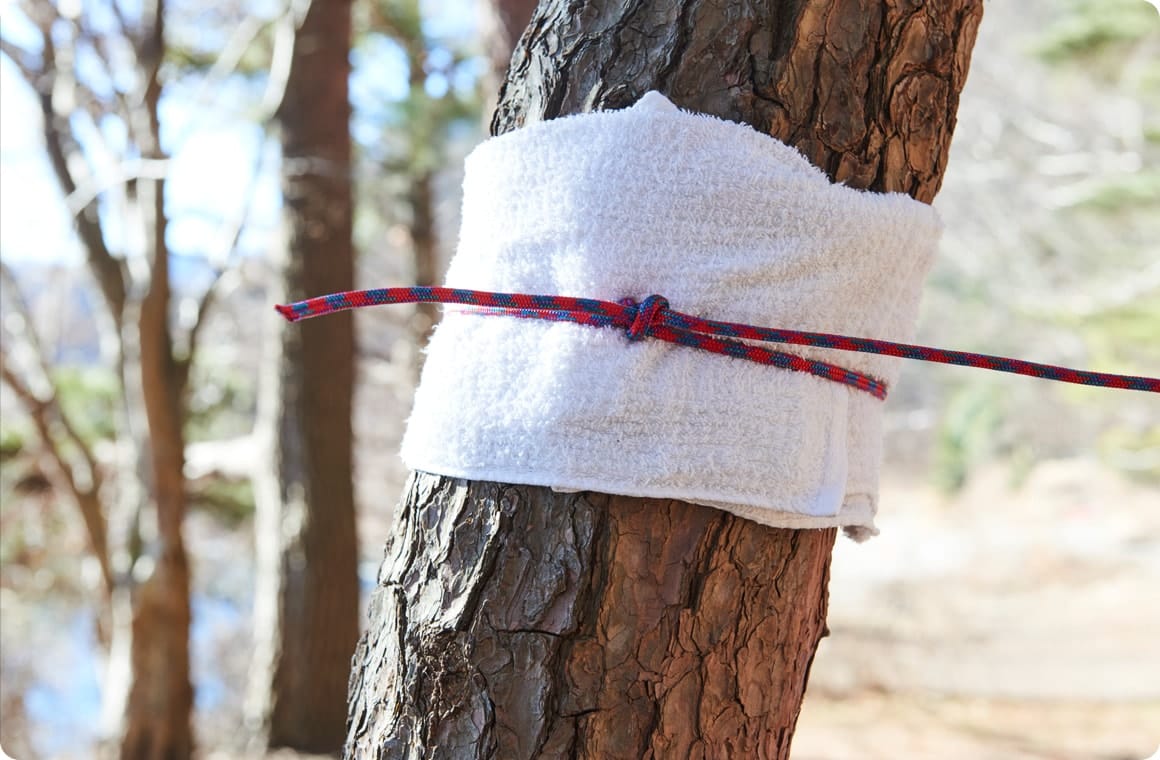 ボーライン（もやい結び）