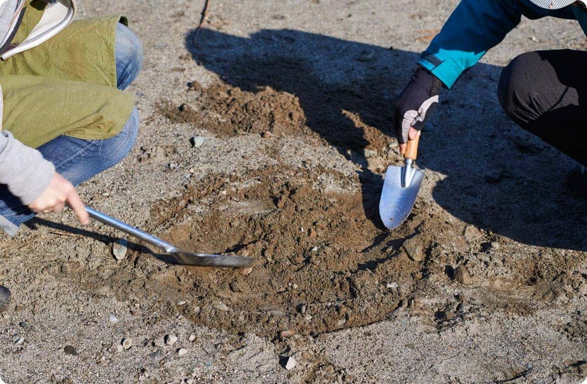 スコップで地面に穴を掘る画像