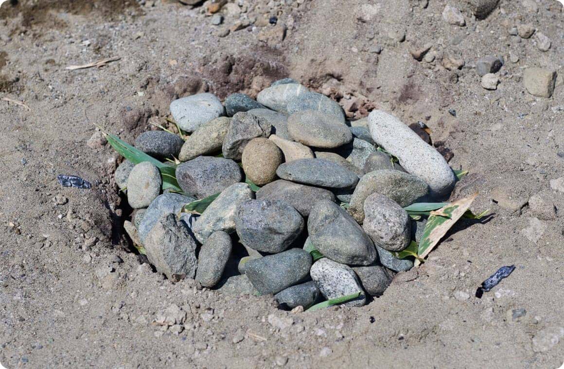 穴を笹と石で埋める画像