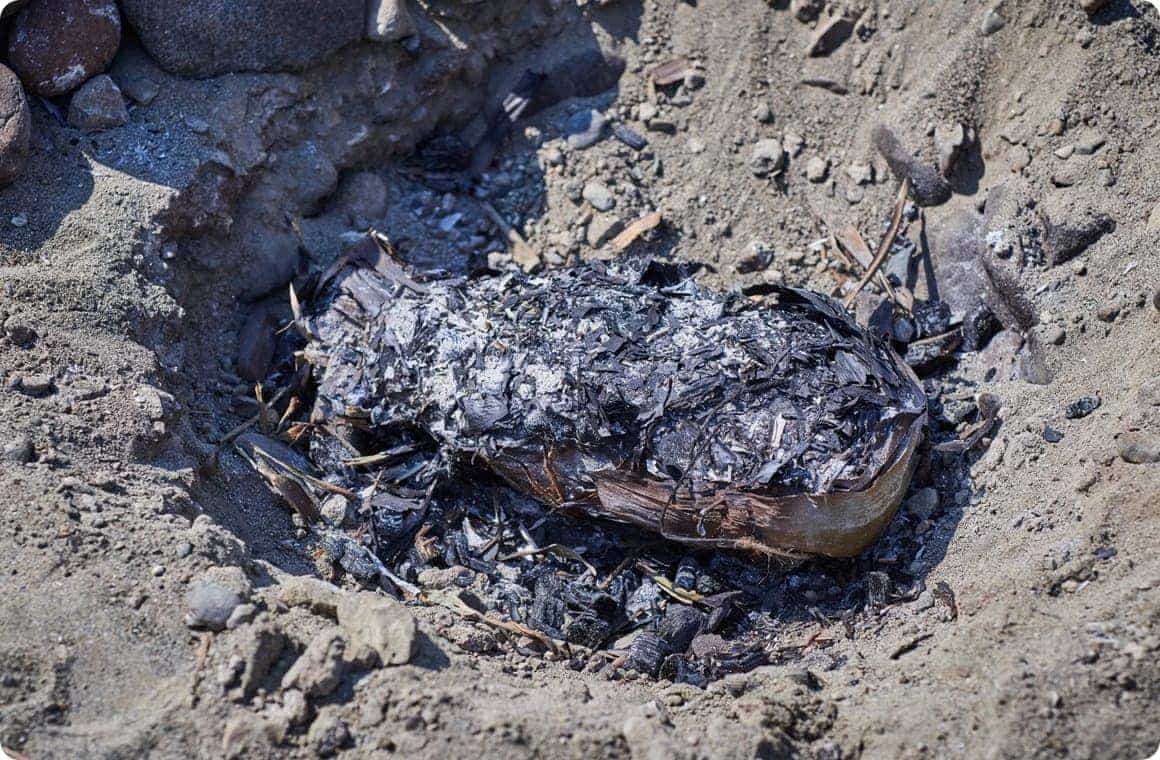 穴の中から掘り起こした鶏肉の画像