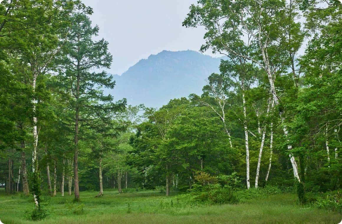戸隠イースタンキャンプ場の画像